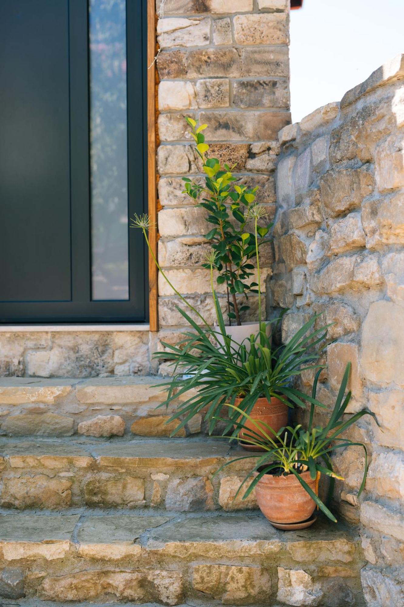 Luxury Studio Weliko Tarnowo Exterior foto